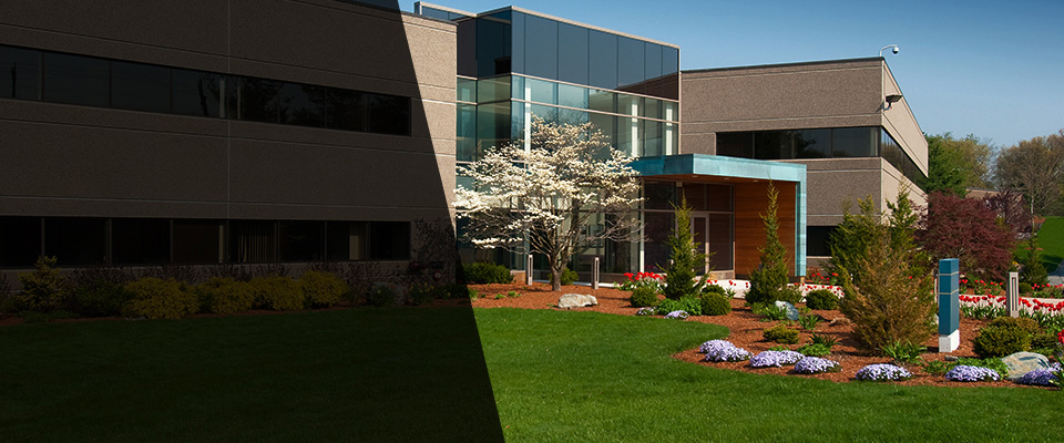 Ormond Beach Landscapers