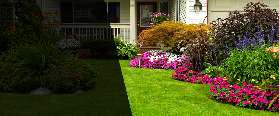 Ormond Beach Landscapers