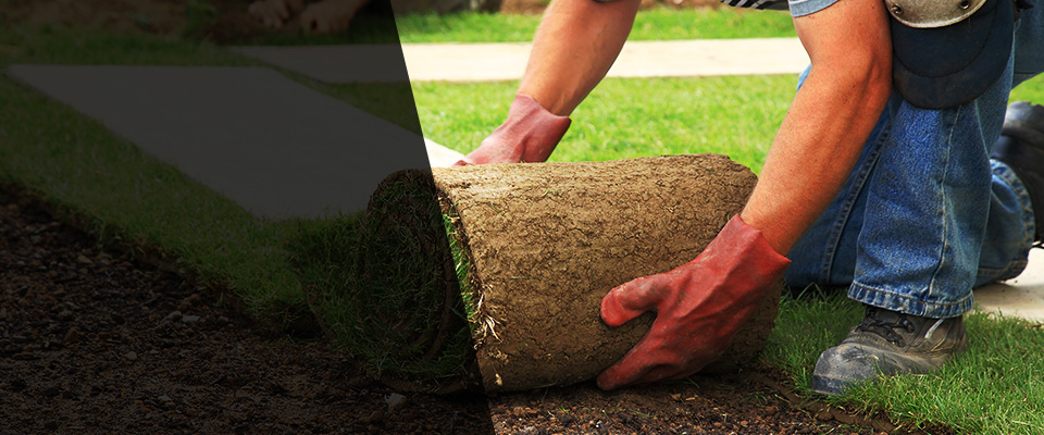 Ormond Beach Landscapers